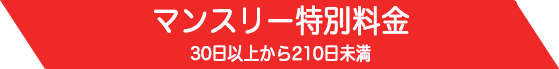 マンスリー特別料金